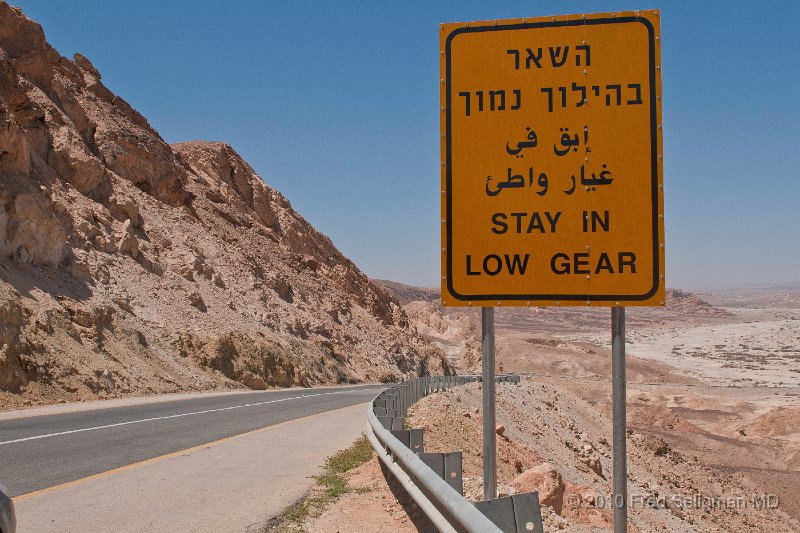 20100413_120407 D300.jpg - Negev Desert, Israel